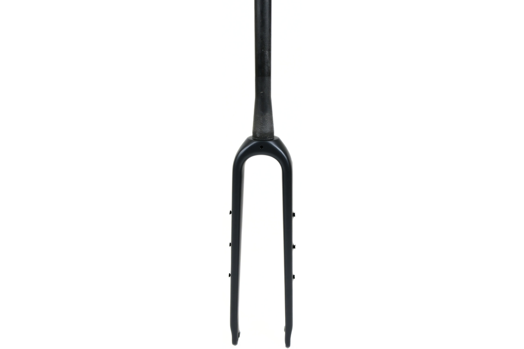 Carbon Fork