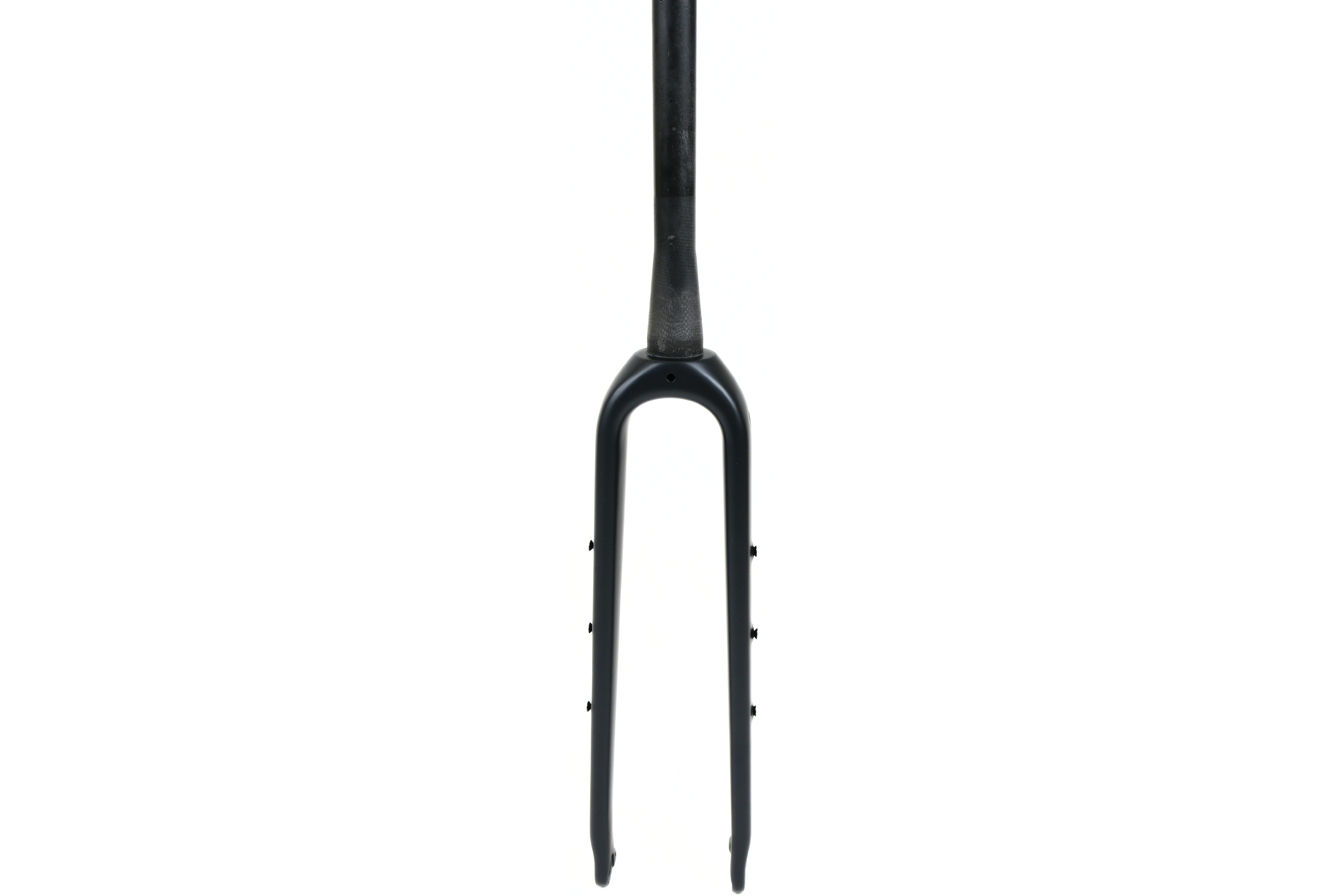 Carbon Fork